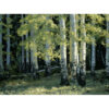 Old Ties and Companions by Tim Breaux | Art Legends Inc. | 553 | 36x48