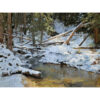 Stillness and Light by Tim Breaux | Art Legends Inc. | 554 | 36x48
